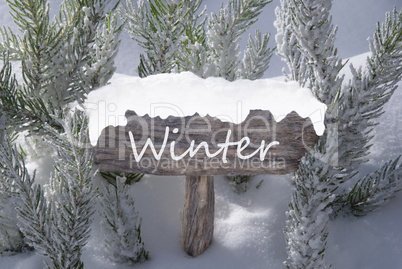 Christmas Sign Snow Fir Tree Branch Text Winter