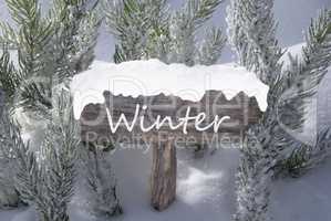 Christmas Sign Snow Fir Tree Branch Text Winter