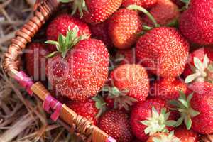 Ein Körbchen Erdbeeren