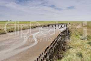 Salzwiesen vor Westerhever