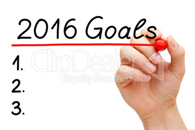 Goals 2016 List