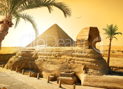 Sphinx and palms
