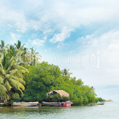 Equatorial forest and boats on the lake
