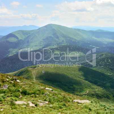 Beautiful mountains covered trees