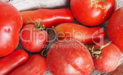 Red Tomato vegetables