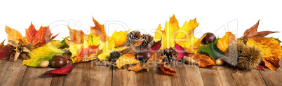 Herbstblätter auf Holz, extra breites Format