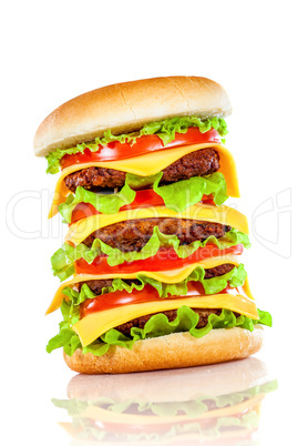 Tasty and appetizing hamburger on a white