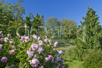 Insel Mainau im Bodensee