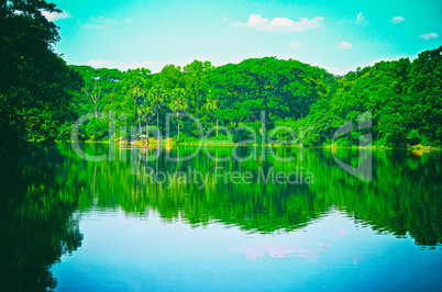 Close up portrait image of beautiful lake