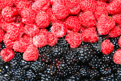 blackberries and raspberry