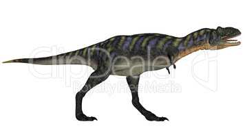 Aucasaurus dinosaur walking roaring - 3D render