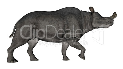 Brontotherium or megacerops dinosaur walking - 3D render