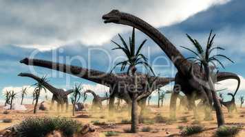 Diplodocus dinosaurs herd in the desert - 3D render
