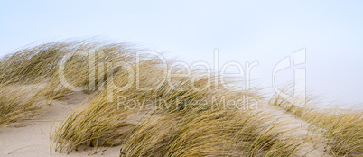 Dünenlandschaft auf der Insel Sylt, Schleswig-Holstein,Deutschl