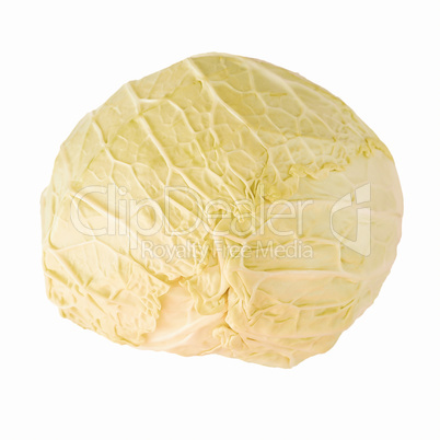 Retro looking Cabbage isolated