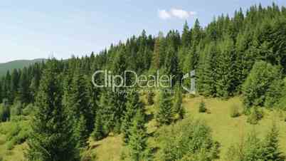 Flight over Wooded Mountains. Aerial Video