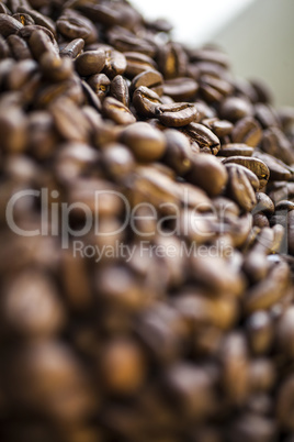 Coffee Beans Close Up