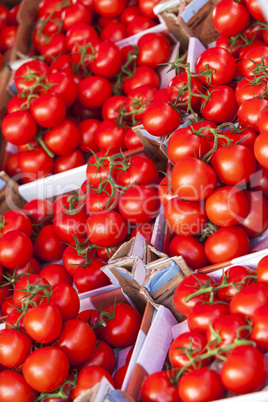 Boxes of Ripe Tomatoes