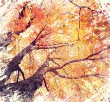 Autunm Trees Watercolor