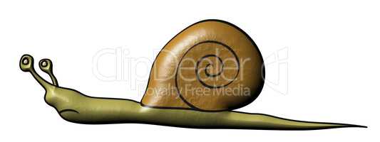 Snail - slowly animal