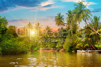 river, beautiful sunrise and tropical palms