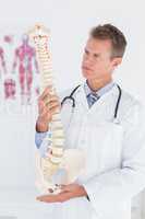 Doctor holding an anatomical spine