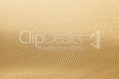 desert sand