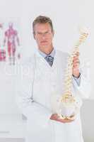 Serious doctor showing anatomical spine