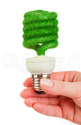 Concept Eco light bulb
