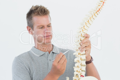 Doctor showing anatomical spine