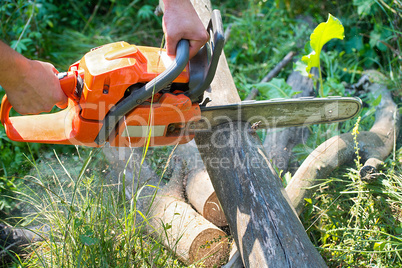 Chainsaw cut wooden logs