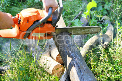Chainsaw cut wooden logs