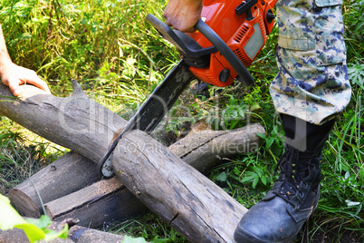 Chainsaw cut wooden logs