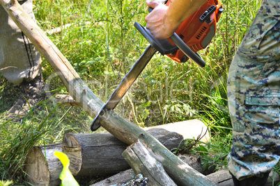 Chainsaw cut wooden logs