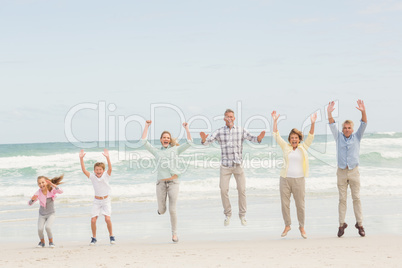 Multi generation family standing beside one another