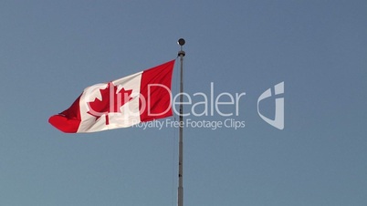 The National Flag of Canada fluttering in the wind.
