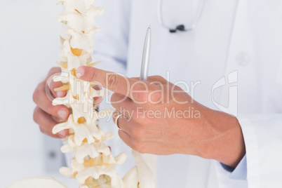 Doctor showing anatomical spine