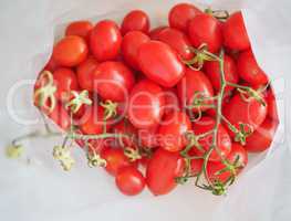 Red Tomato vegetables