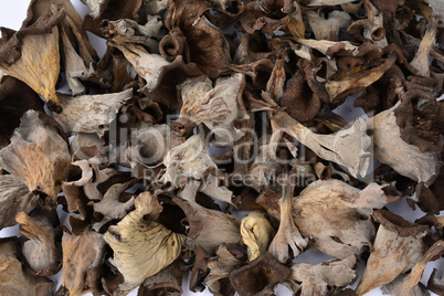 Dried Horn of Plenty musfrooms