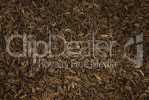 caraway seeds