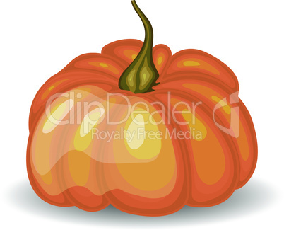 Glossy Orange Pumpkin