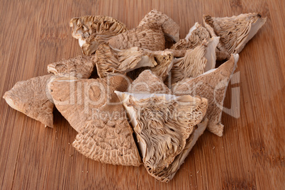 Dried pieces of Parasol mushroom