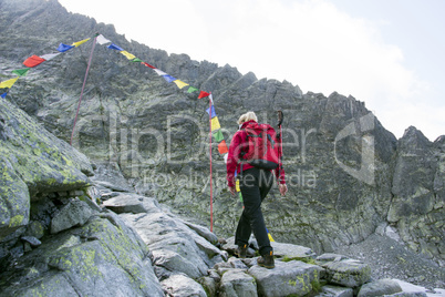 Gate with Tibetan flags