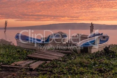 Four boats moored by dock at dawn