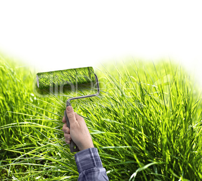 human hand with roller painting true grass on white wall