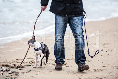 Mann mit Boston Terrier