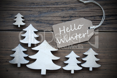 Label And Christmas Trees With Hello Winter