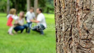 detail of tree bark - blur background: family (middle couple in love, cute girl and small boy) play together in park