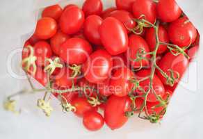 Red Tomato vegetables