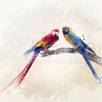 Two Parrots Watercolor